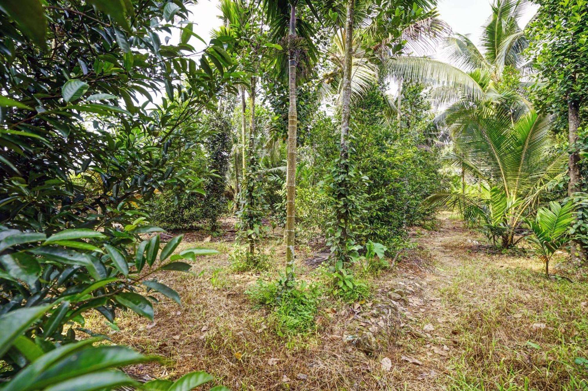 Spot On Shalom Palace Residency Neriyamangalam Exterior foto